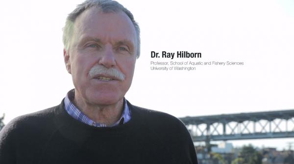 Estudo de Ray Hilborn contesta as descobertas anteriores sobre peixes forrageiros